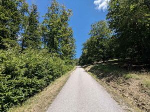 Lainzer Tiergarten