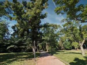 Türkenschanzpark