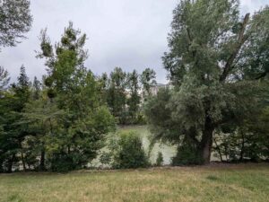Donaukanal