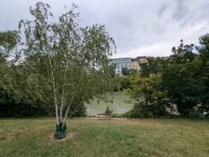 Donaukanal