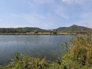 Neue Donau
