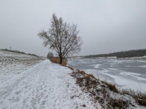 Uferweg an der Neuen Donau im Winter