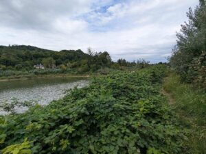 Silbersee