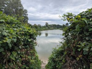 Silbersee