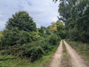 Rundweg ab Kritzendorf