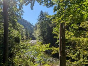 Flusswanderweg Höllental