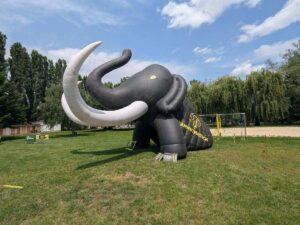 Mammutmarsch Wien am 7. Juni 2025