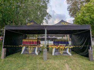 Mammutmarsch Wien am 7. Juni 2025