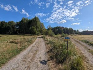 Blockheide