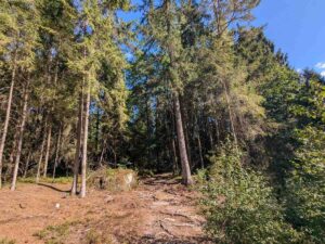 Blockheide