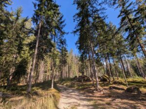 Blockheide