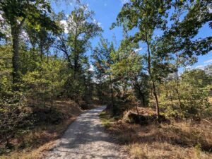 Blockheide