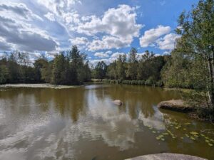 Blockheideteich