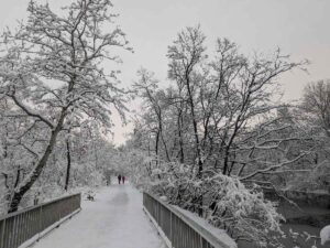 Prater - Stadtwanderweg 9