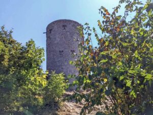 Wilhelmswarte am Anninger