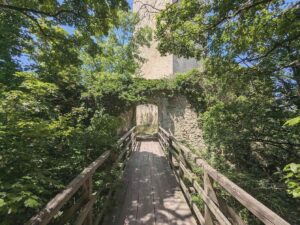 Burgruine Rauheneck