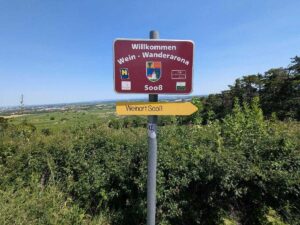 Weinbau in Sooß