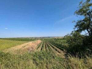 Retzer Land