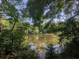 Mauthnerwasser