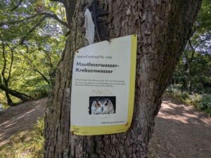 Mauthnerwasser und Krebsenwasser