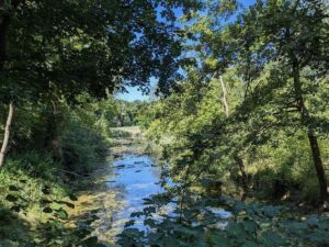 Krebsenwasser