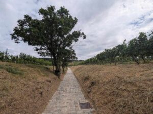 Neustift am Walde