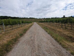 Neustift am Walde