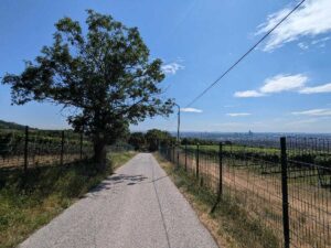Oberer Reisenbergweg