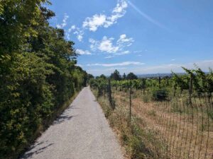 Neustift am Walde nach Nussdorf