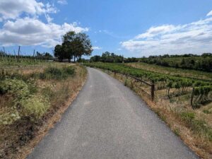 Neustift am Walde nach Nussdorf