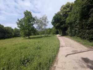 Weinwanderweg Floridsdorf