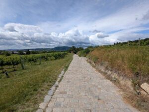 Weinwanderweg Floridsdorf