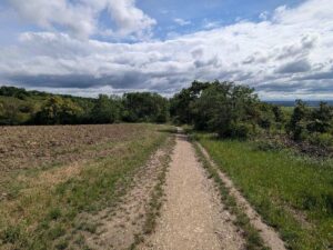 Weinwanderweg Floridsdorf