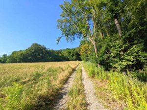 Naturpark Eichenhain