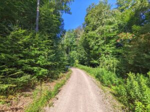 Naturpark Eichenhain