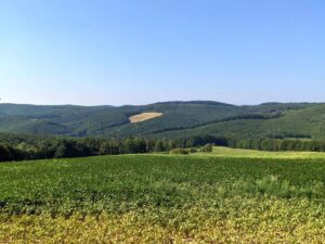 Naturpark Eichenhain