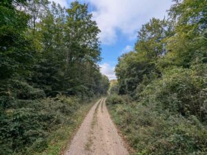 Naturpark Föhrenberge