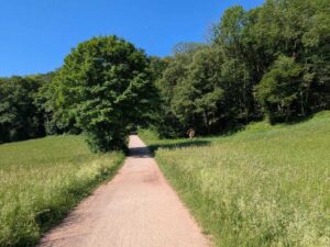 Wienerwald Verbindungsweg 444