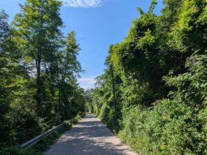 Wienerwald Verbindungsweg 444