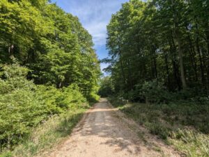 Rundweg Gablitz