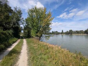 Fischamend nach Schwechat