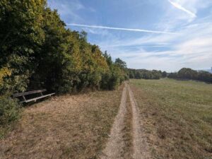 Wiesenweg zum Cobenzl