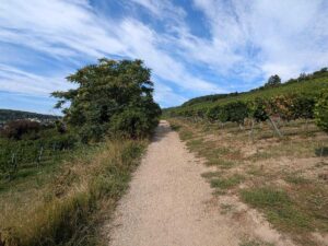 Neustift am Walde