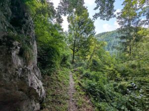 Schmiedemeile