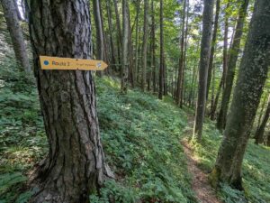 Waidhofen/Ybbs - "Tut gut!" (Route 3)