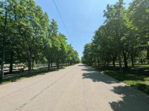 Prater - Hauptallee