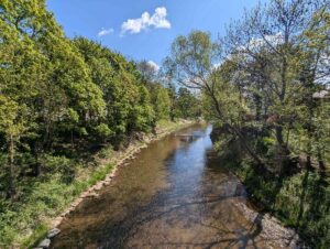 Wienfluss bei Purkersdorf