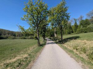 Lainzer Tiergarten