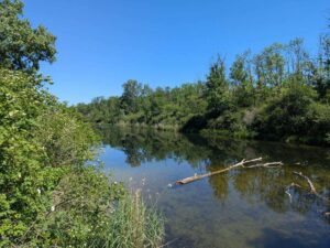 Lobau - Groß-Enzersdorfer Arm