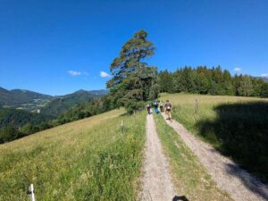 (T)railway Hatscher 2026